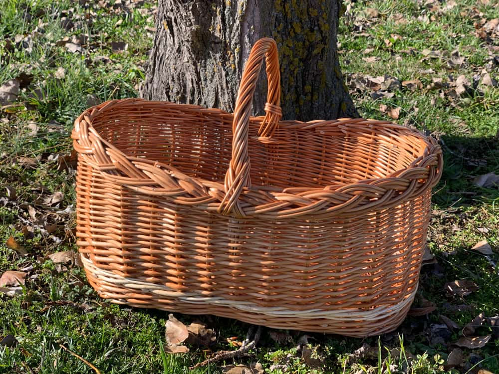 Cesta