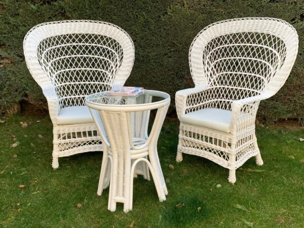 Conjunto terraza abanico